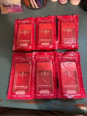 6 Pack of Watermelon Hand Sanitizers